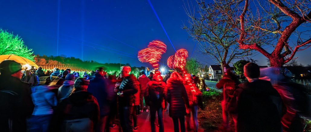 Weinbergnacht Bad Duerkheim 2025 Lichtshow
