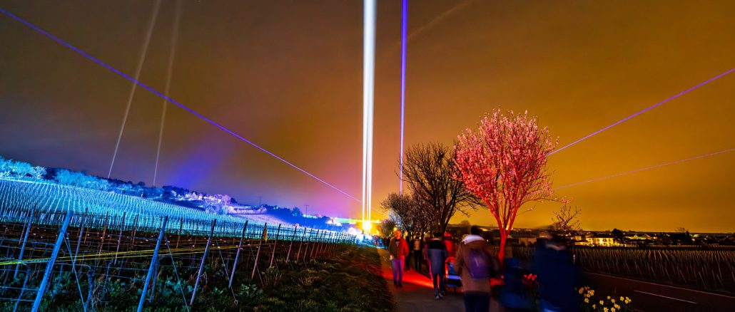 2026-03-06 Weinbergnacht Bad Duerkheim leuchtende Weinberge mit Lichtshow