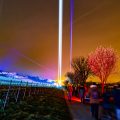 2026-03-06 Weinbergnacht Bad Duerkheim leuchtende Weinberge mit Lichtshow