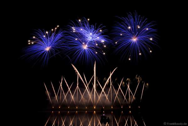 Feuerwerk bei Rhein in Flammen 2008 - Bonn