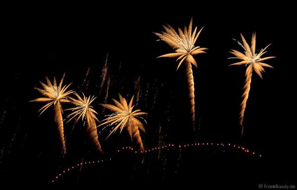 Feuerwerk bei der Sonnwendfeier Oensingen 2009