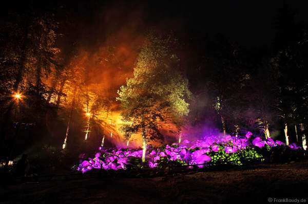 A05_IMG_4324-v01-03R