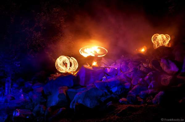 A11_IMG_4693-v01-03R