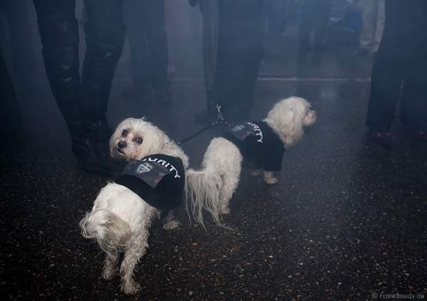 Die Spezialbewachung für Marc Terenzi