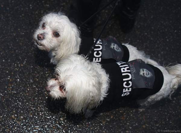 Die Spezialbewachung für Marc Terenzi