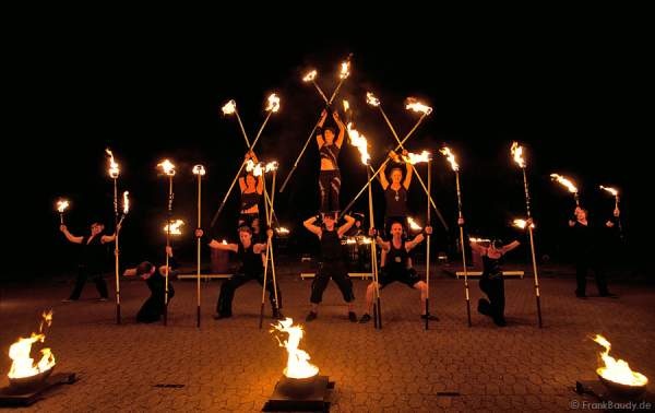 A15_IMG_4319-v01-01Rso