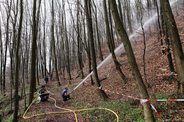 Der Aufbau des Feuerwerks im Wald des VCO für die Sonnwendfeier in Oensingen 2012
