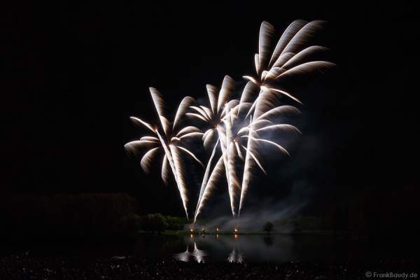 Feuerwerk bei Rhein in Flammen 2013 - Bonn