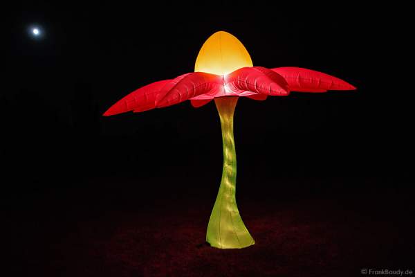 Leuchtende Skulpturen beim Sommerfest 2013 im Golf Club St. Leon-Rot