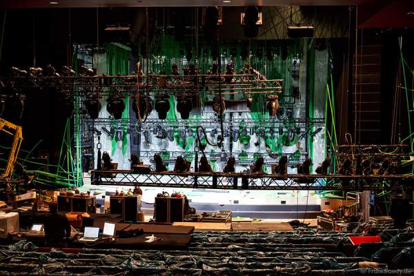 Musical Tarzan in Stuttgart, ein erster Blick hinter die Kulissen