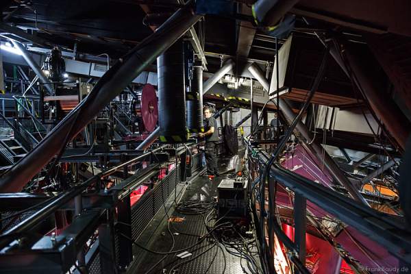 Musical Tarzan in Stuttgart, ein erster Blick hinter die Kulissen