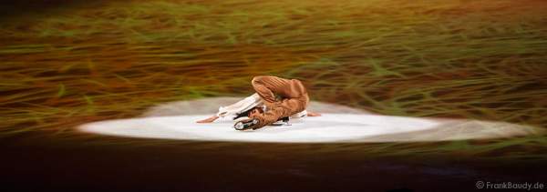 Rohene Ward bei Holiday on Ice - PLATINUM