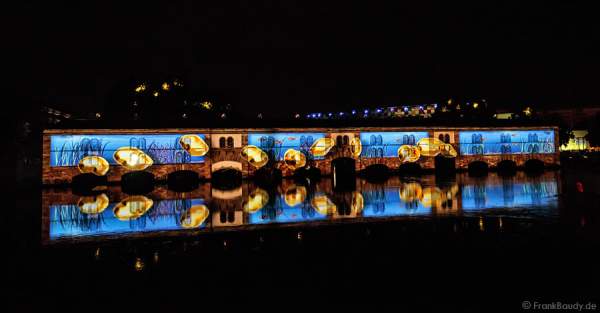 Wasser- und Lichtspiele beim Sommerfestival 2014 in Straßburg