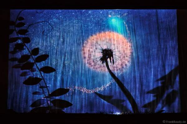 AQUA-FANTASIA bei Water Classic Open Air 2014