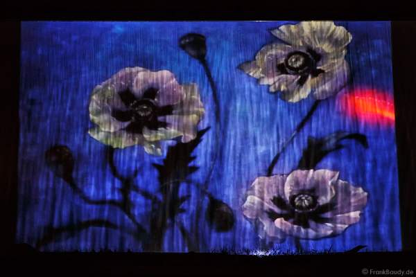 AQUA-FANTASIA bei Water Classic Open Air 2014