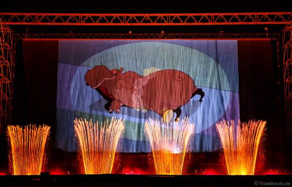 A39_IMG_3205-v01-01so