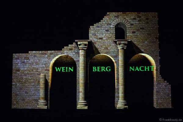 Videoanimation an der Römervilla Weilberg bei der Weinbergnacht in Bad Dürkheim 2015