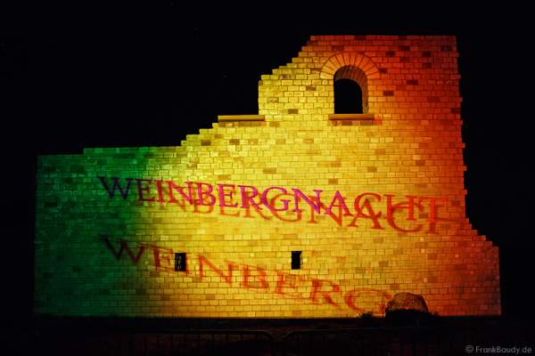 Videoanimation an der Römervilla Weilberg bei der Weinbergnacht in Bad Dürkheim 2015