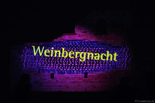 Videoanimation an der Römervilla Weilberg bei der Weinbergnacht in Bad Dürkheim 2015