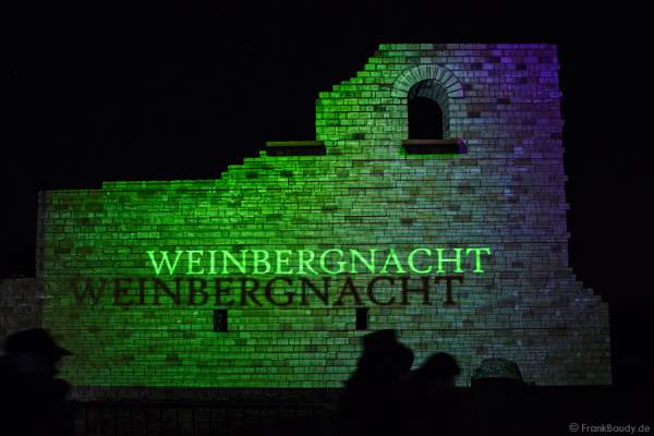 Videoanimation an der Römervilla Weilberg bei der Weinbergnacht in Bad Dürkheim 2015