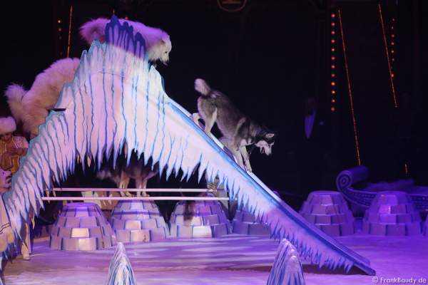 Schlittenhunde bei Petersburger Schlittenfahrt-Circus Roncalli-Salto Vitale