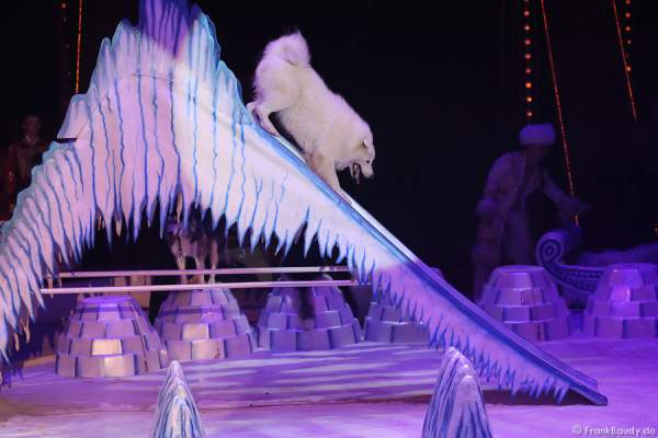 Schlittenhunde bei Petersburger Schlittenfahrt-Circus Roncalli-Salto Vitale