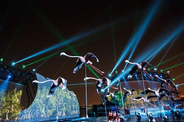 A051_Dubai celebrates the 44th UAE National Day, Spirit of the Union, 2015