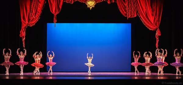 Ballerina Alla Snizova - Carlos Hopuy - The Trocks - am 2. August 2016 bei der Tourpremiere im Nationaltheater Mannheim