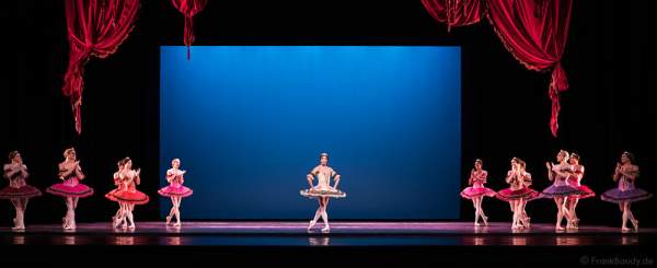 Ballerina Alla Snizova - Carlos Hopuy - The Trocks - am 2. August 2016 bei der Tourpremiere im Nationaltheater Mannheim