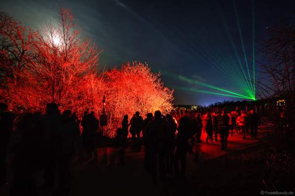 Leuchtende Weinbergnacht 2017 mit Laser in Bad Dürkheim