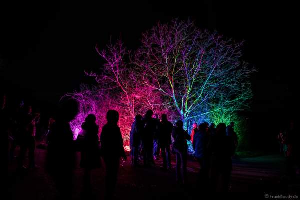 Farbenprächtige Beleuchtung bei der Weinbergnacht 2017 in Bad Dürkheim