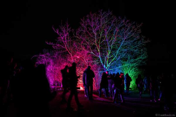 Farbenprächtige Beleuchtung bei der Weinbergnacht 2017 in Bad Dürkheim