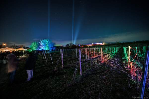 Leuchtende Weinbergnacht 2017 in Bad Dürkheim