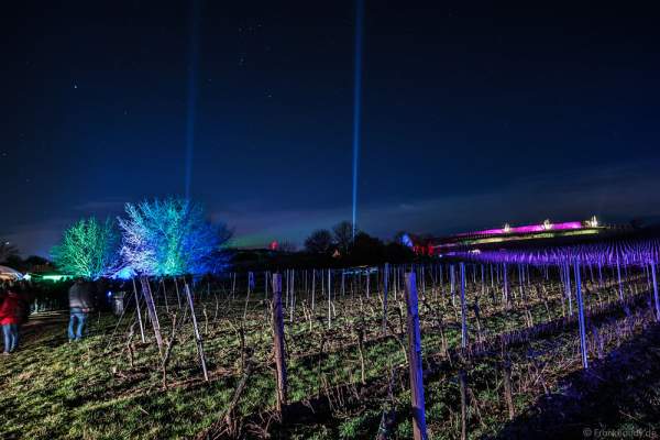Leuchtende Weinbergnacht 2017 in Bad Dürkheim