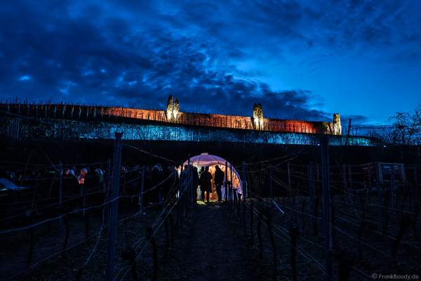 Beleuchtetes Kuppelzelt bei der Weinbergnacht 2017 in Bad Dürkheim