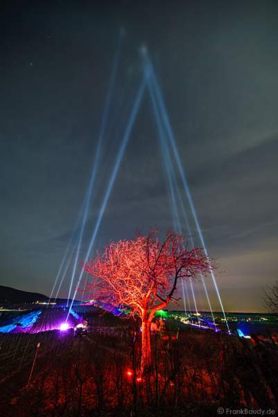 Leuchtende Weinbergnacht 2017 mit Himmelsstrahler (Skybeamer) in Bad Dürkheim