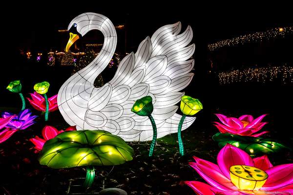 Chinesisches Lichterfest im Europa-Park zur Wintersaison 2017/2018