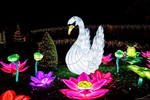 Chinesisches Lichterfest im Europa-Park zur Wintersaison 2017/2018