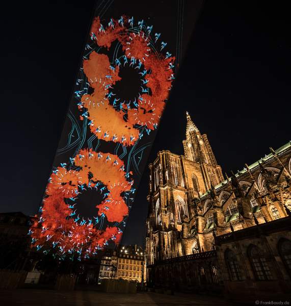 Lichtspiel bei der Sommershow LuX am Münster in Straßburg 2018