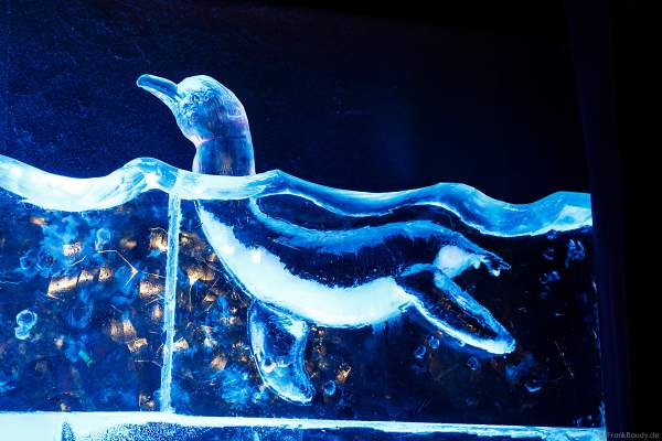 Ein Delfin aus Eis bei der Eisskulpturen Ausstellung RULANTICA aus EIS – Snorris funkelnde Wasserwelt im Europa-Park zur Wintersaison 2018/2019