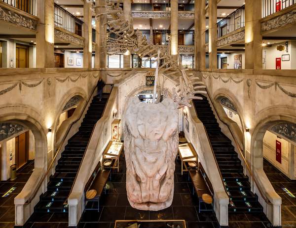 Die Eingangshalle des Hotels „Krønasår“ mit Übergang in die Wasserwelt Rulantica im Europa-Park