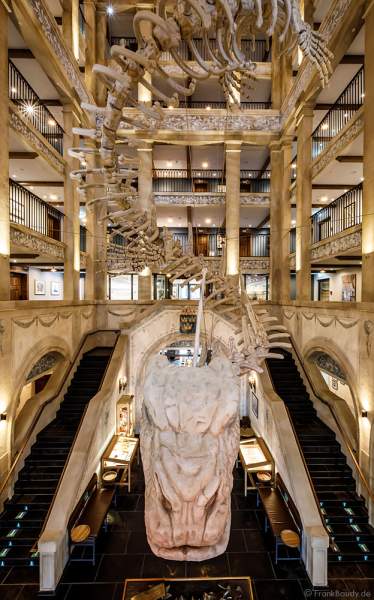 Die Eingangshalle des Hotels „Krønasår“ mit Übergang in die Wasserwelt Rulantica im Europa-Park