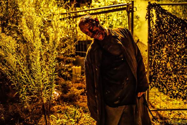 Horror Nights - TRAUMATICA 2021 bei Halloween im Europa-Park in Rust
