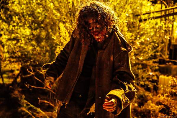 Horror Nights - TRAUMATICA 2021 bei Halloween im Europa-Park in Rust