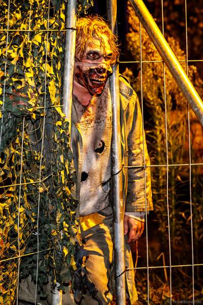 Horror Nights - TRAUMATICA 2021 bei Halloween im Europa-Park in Rust