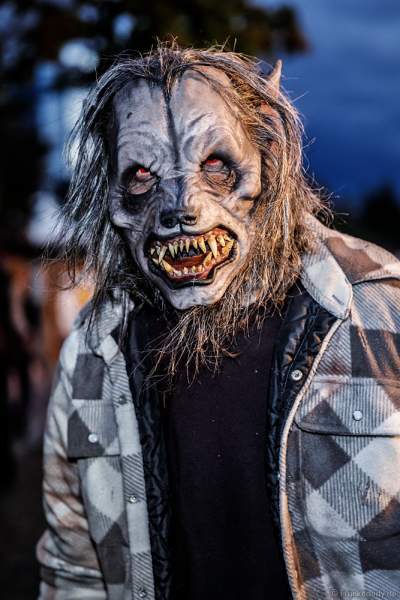 Horror Nights - TRAUMATICA 2021 bei Halloween im Europa-Park in Rust