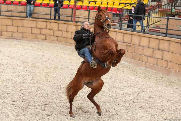 Der französische Stuntman und Pferdetrainer Mario Luraschi im Europa-Park beim Start der Sommersaison 2022