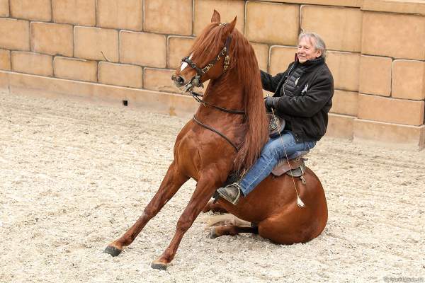 Der französische Stuntman und Pferdetrainer Mario Luraschi im Europa-Park beim Start der Sommersaison 2022