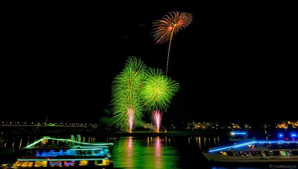 Japanisches Feuerwerk beim Japan-Tag in Düsseldorf