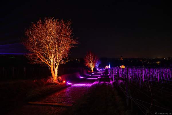 Weinbergnacht in Bad Dürkheim 2023 mit strahlender Lichtshow und Laser auf den Weinbergen